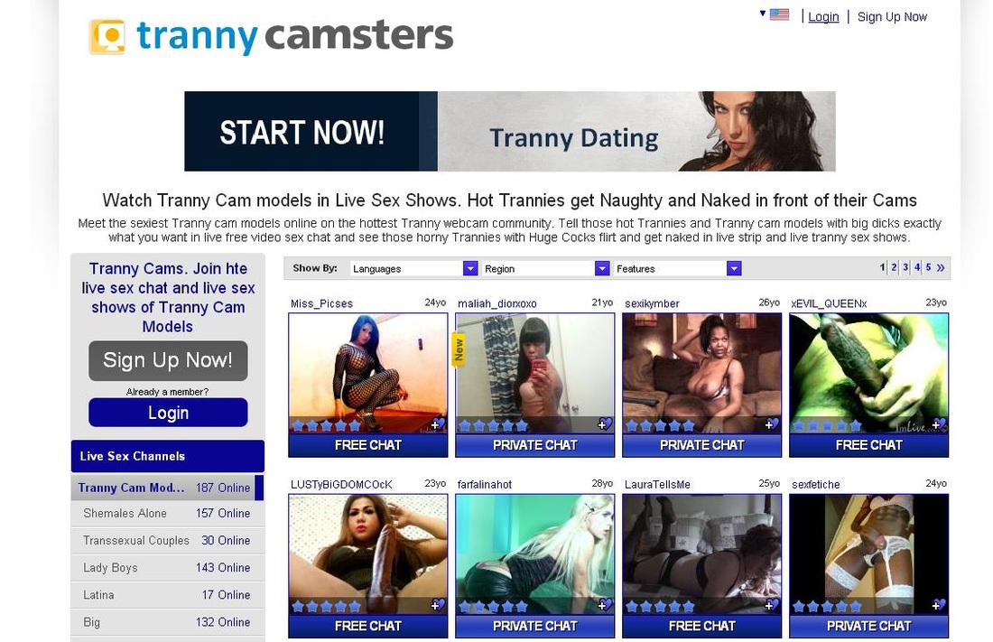 Tranny Cams